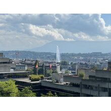 IMG_9249