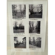 IMG_9243