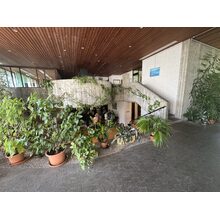 IMG_0128