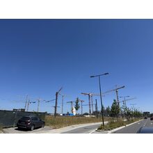 IMG_1119