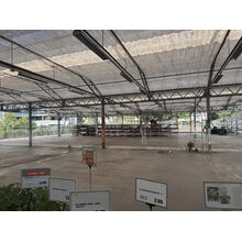 IMG_0772