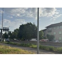 IMG_0767