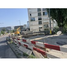 IMG_1905