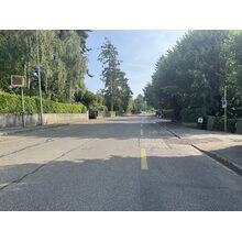 IMG_1161