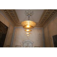 IMG_1537