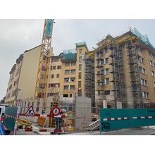IMG_2896