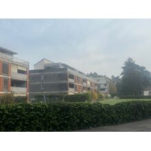 IMG_3093