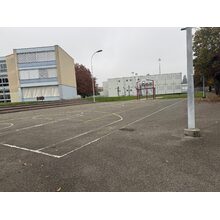 IMG_3442
