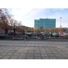DSC01826