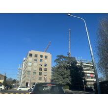 IMG_3551