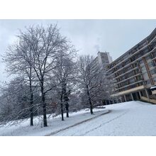 2021-01-17_08-46-28