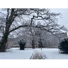 2021-01-17_08-45-24
