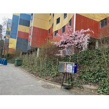 2026-03-18_12-25-34