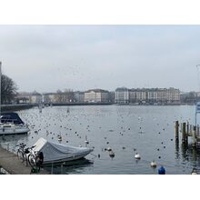 2020-01-25_14-26-55