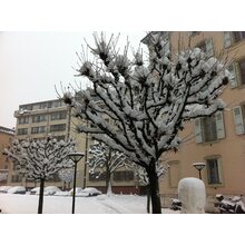 2010-12-01_13-58-29