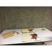2017-05-20_21-23-44