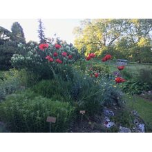 2017-05-20_20-08-41