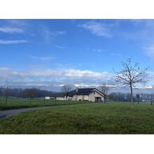 IMG_3630