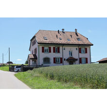 2026-06-12_12-51-09