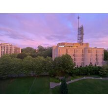 2020-06-12_05-42-49