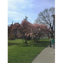 2015-04-12_11-47-57