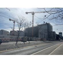 IMG_8437