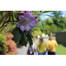 2019-05-26_09-43-10