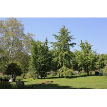 2019-05-26_09-42-09