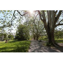 2019-05-26_09-39-26
