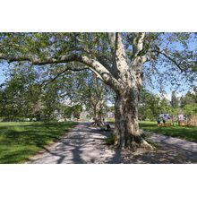 2019-05-26_09-38-34