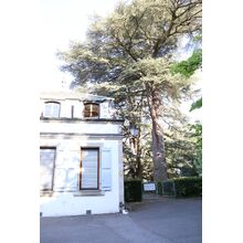 2019-05-05_17-13-05