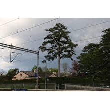 2019-04-27_18-01-53
