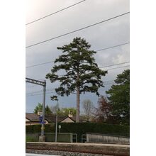 2019-04-27_18-01-47