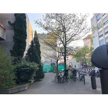 2019-04-14_18-50-34