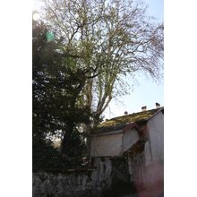 2019-04-14_13-24-10