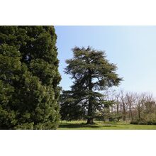 2019-04-14_12-32-03