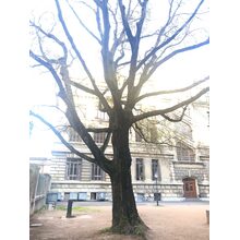 2019-04-05_18-48-36