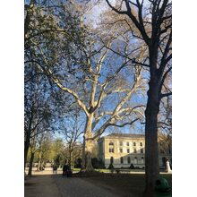 2019-04-05_18-26-32