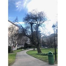 2019-04-05_18-24-18