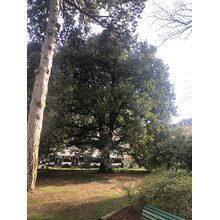 2019-04-05_17-36-35