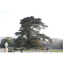 2019-03-24_17-42-49