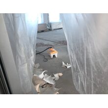 2019-03-20_08-43-22