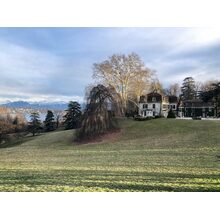 2019-03-03_17-33-15