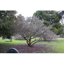 2019-03-02_18-12-58