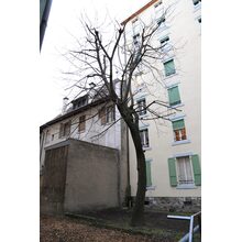 2019-03-02_17-51-13