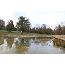 2019-03-02_16-48-43