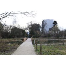 2019-03-02_16-47-00