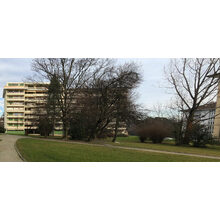 2017-12-04_13-44-42