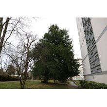 2019-03-02_16-18-39