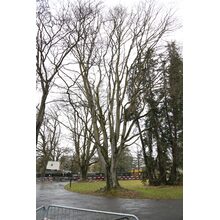 2019-03-02_14-02-34